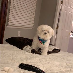 Meet your Posher, Ilysa